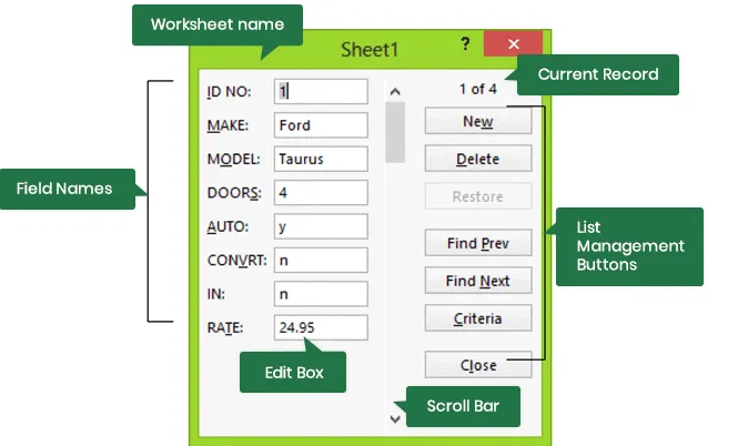 Figure 1-3: The Data Form