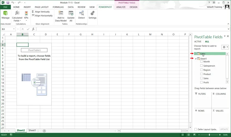 PivotTable Field Pane